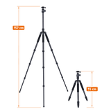 CT-5C - carbon tripod