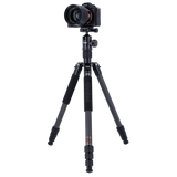 C5i - carbon tripod