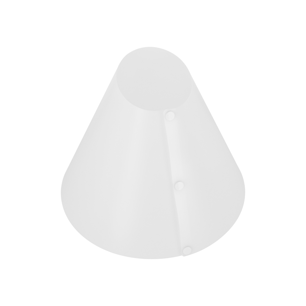 light cone