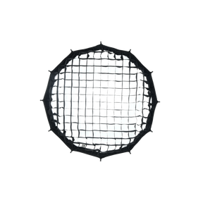 Click beauty dish with grid