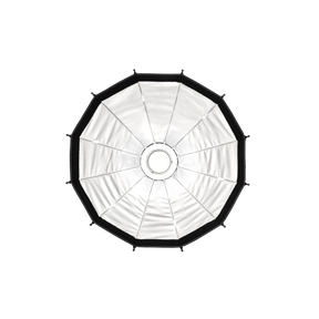 Click beauty dish with grid