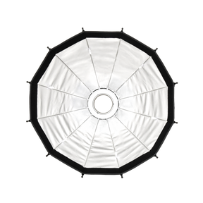 Click beauty dish with grid