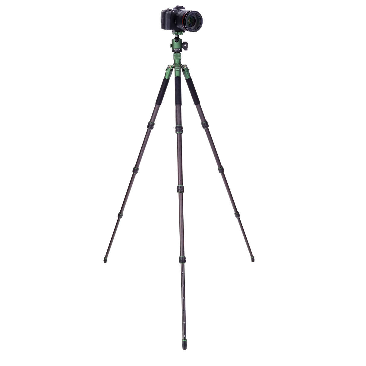 Rollei Stative Lion Rock Traveler L Green Edition - Carbon Stativ